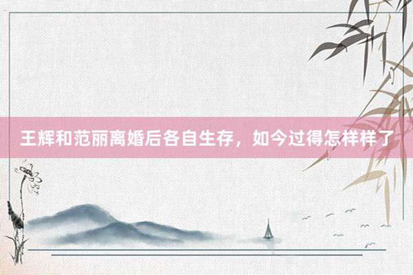 王辉和范丽离婚后各自生存，如今过得怎样样了