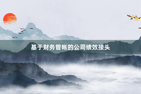 基于财务管帐的公司绩效接头