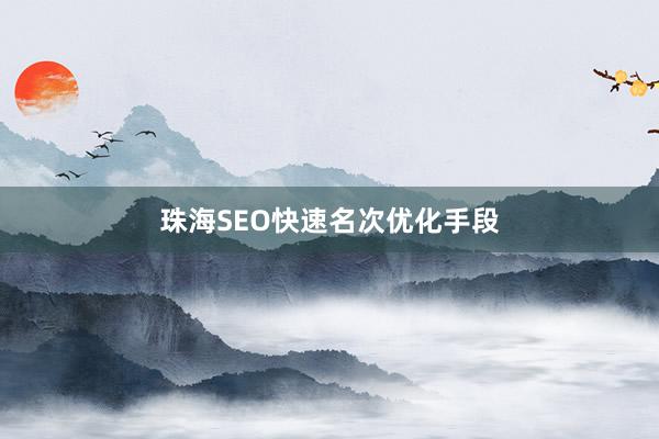 珠海SEO快速名次优化手段